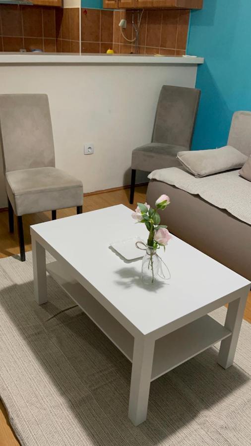 נובי סאד Apartment Elefant 021 מראה חיצוני תמונה