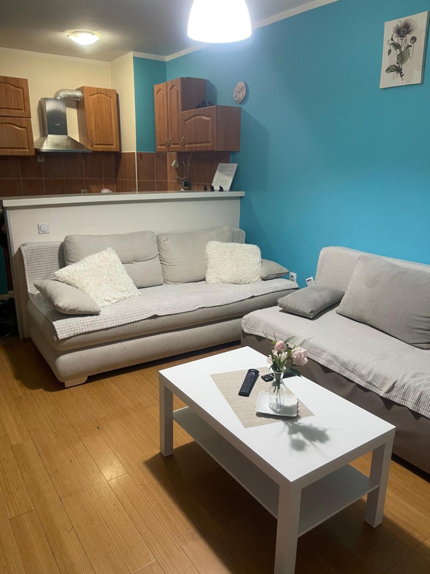 נובי סאד Apartment Elefant 021 מראה חיצוני תמונה