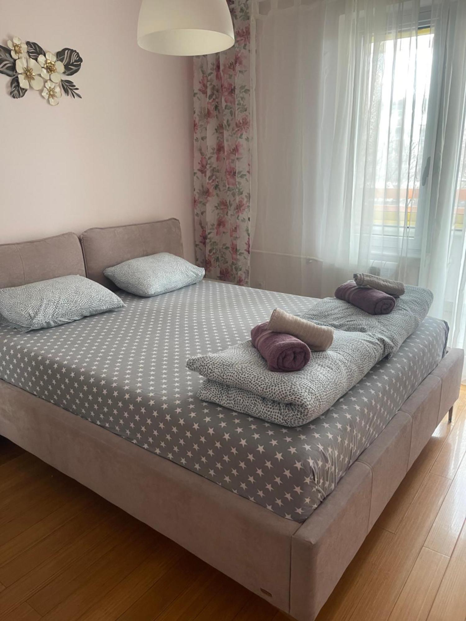 נובי סאד Apartment Elefant 021 מראה חיצוני תמונה