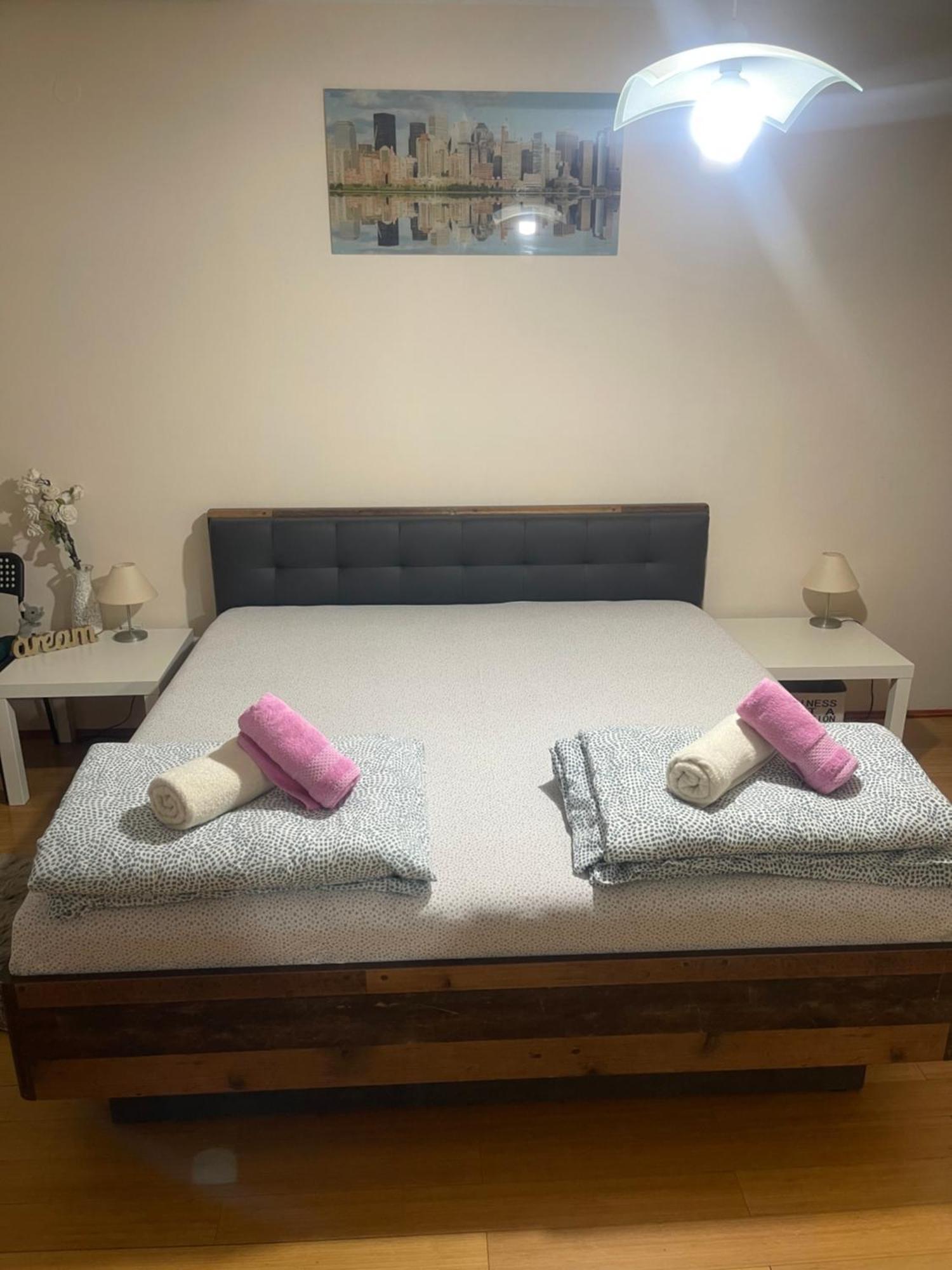 נובי סאד Apartment Elefant 021 מראה חיצוני תמונה